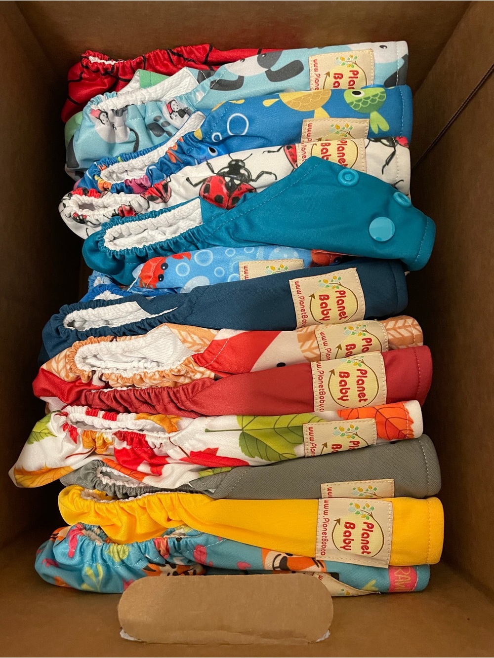 Reusable Swim Diaper - Multi Color